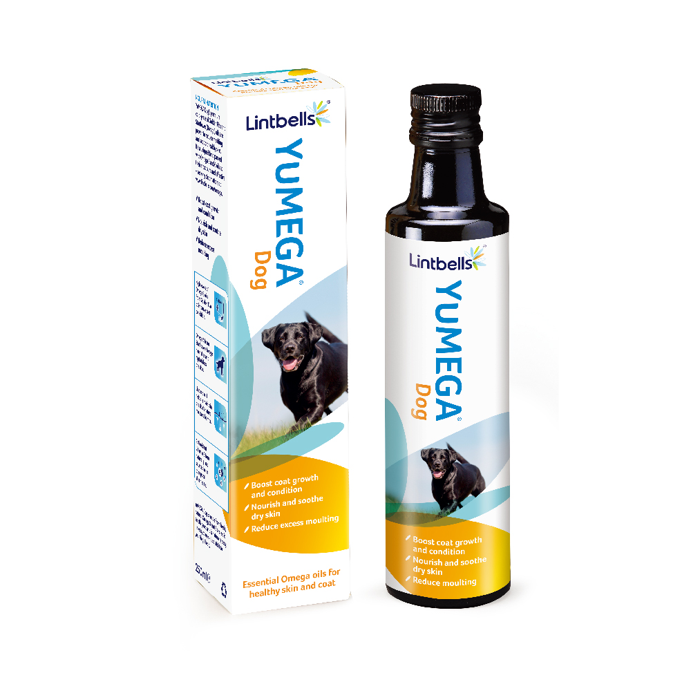 products-yumega-dog