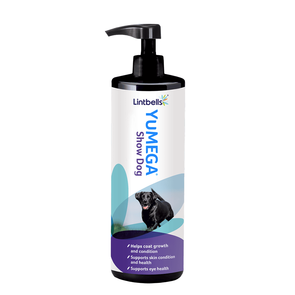 lintbells-yumega-show-dog-500ml