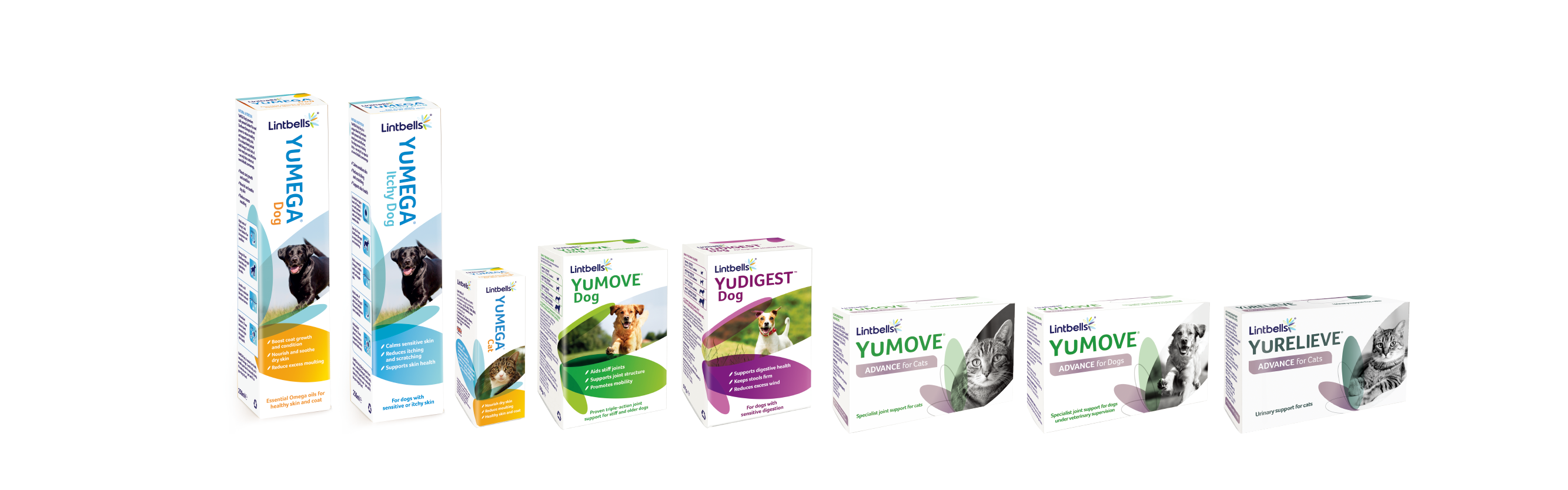 newlook-Lintbells_1280