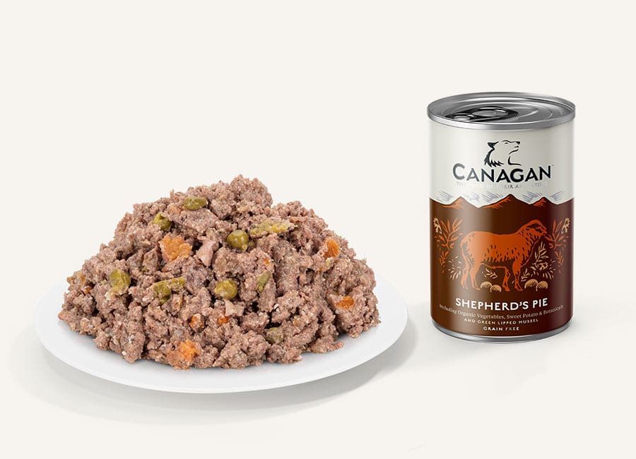 canagan-shepherds-pie-min