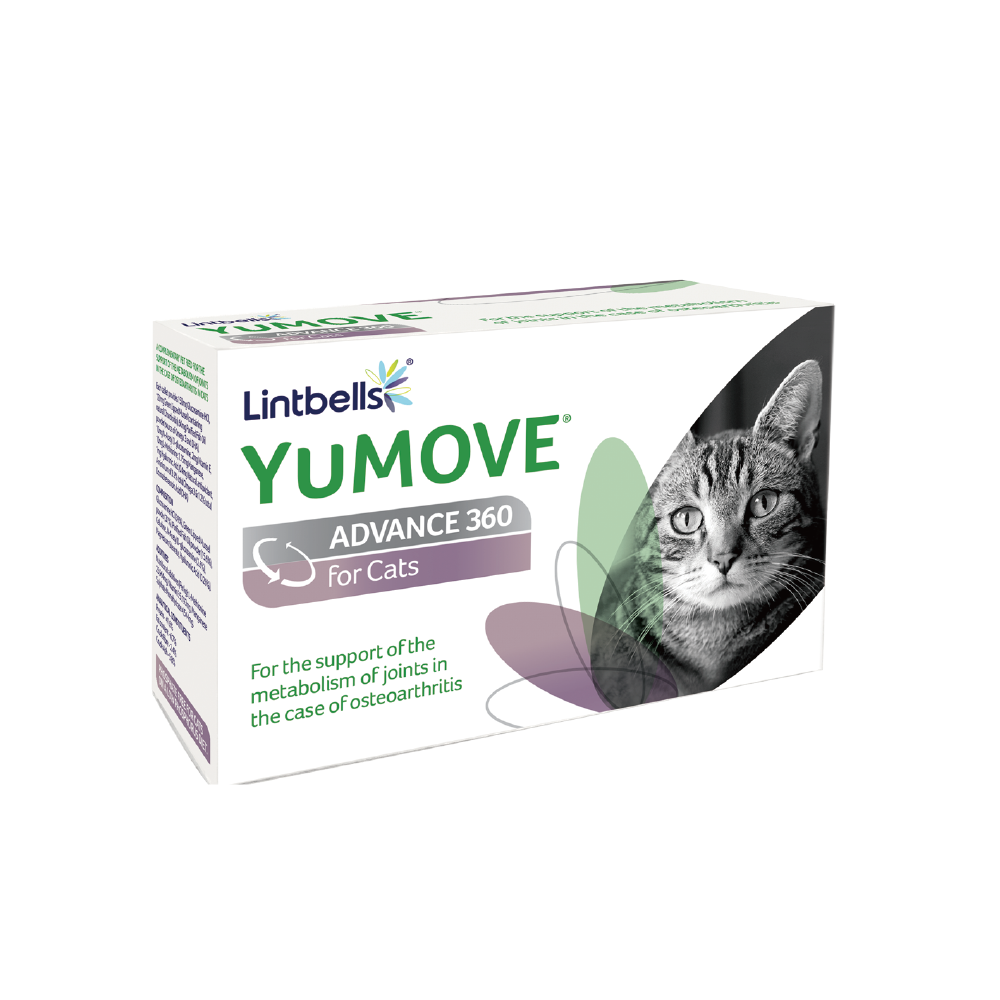 products-yumove-advance-360-cats