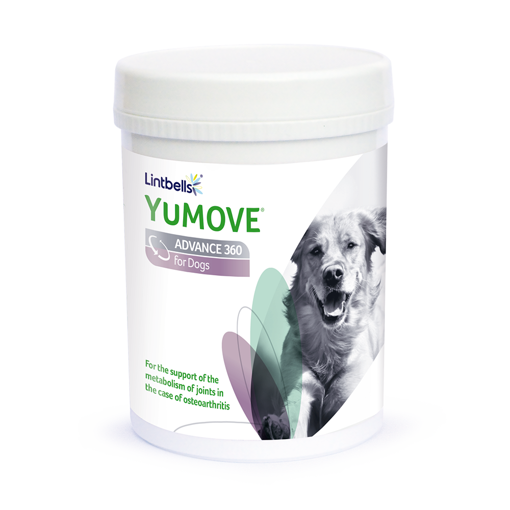 products-lintbells-yumove-advance-360-dogs-270tab.png