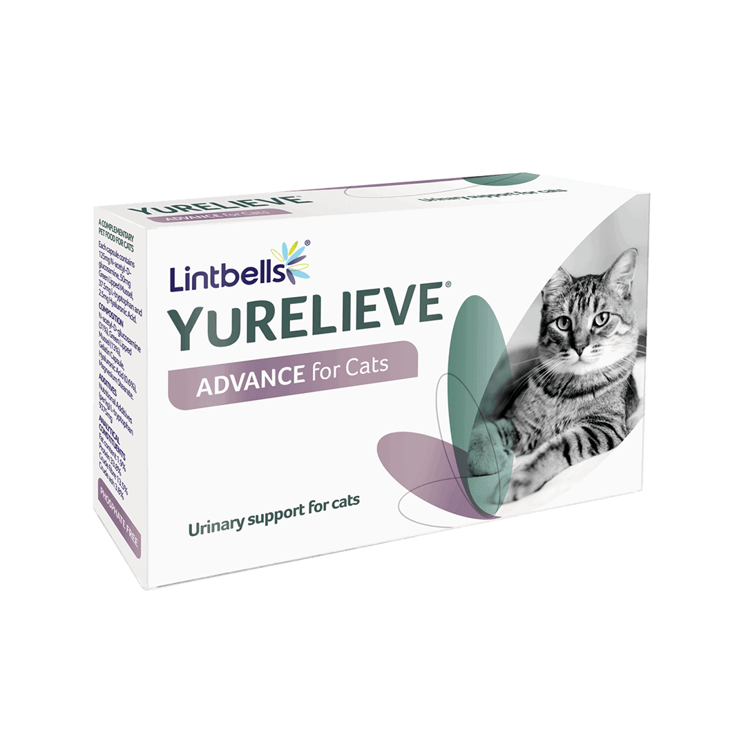 lintbells-yurelieve-30