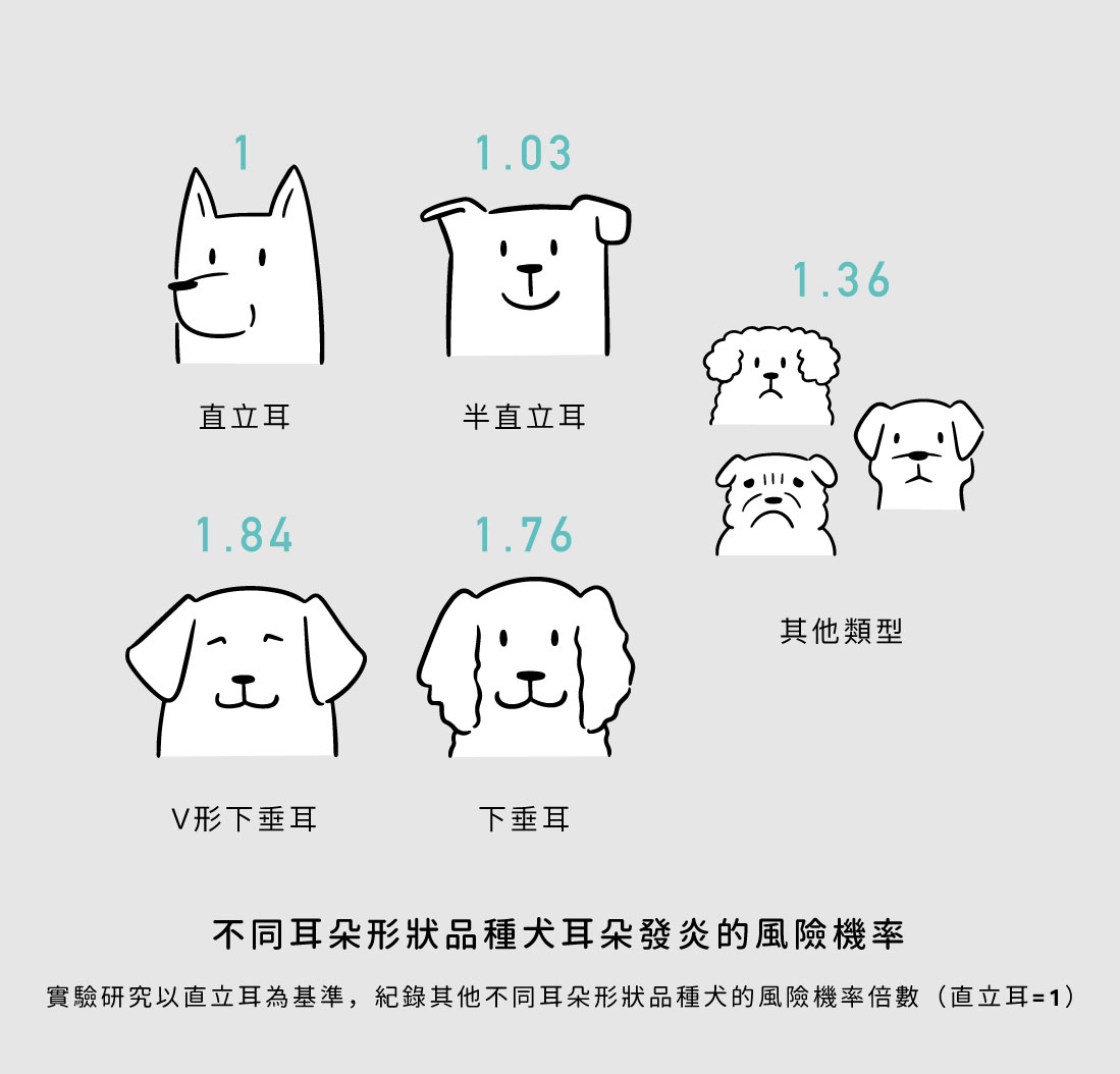 ear-infect-related-types
