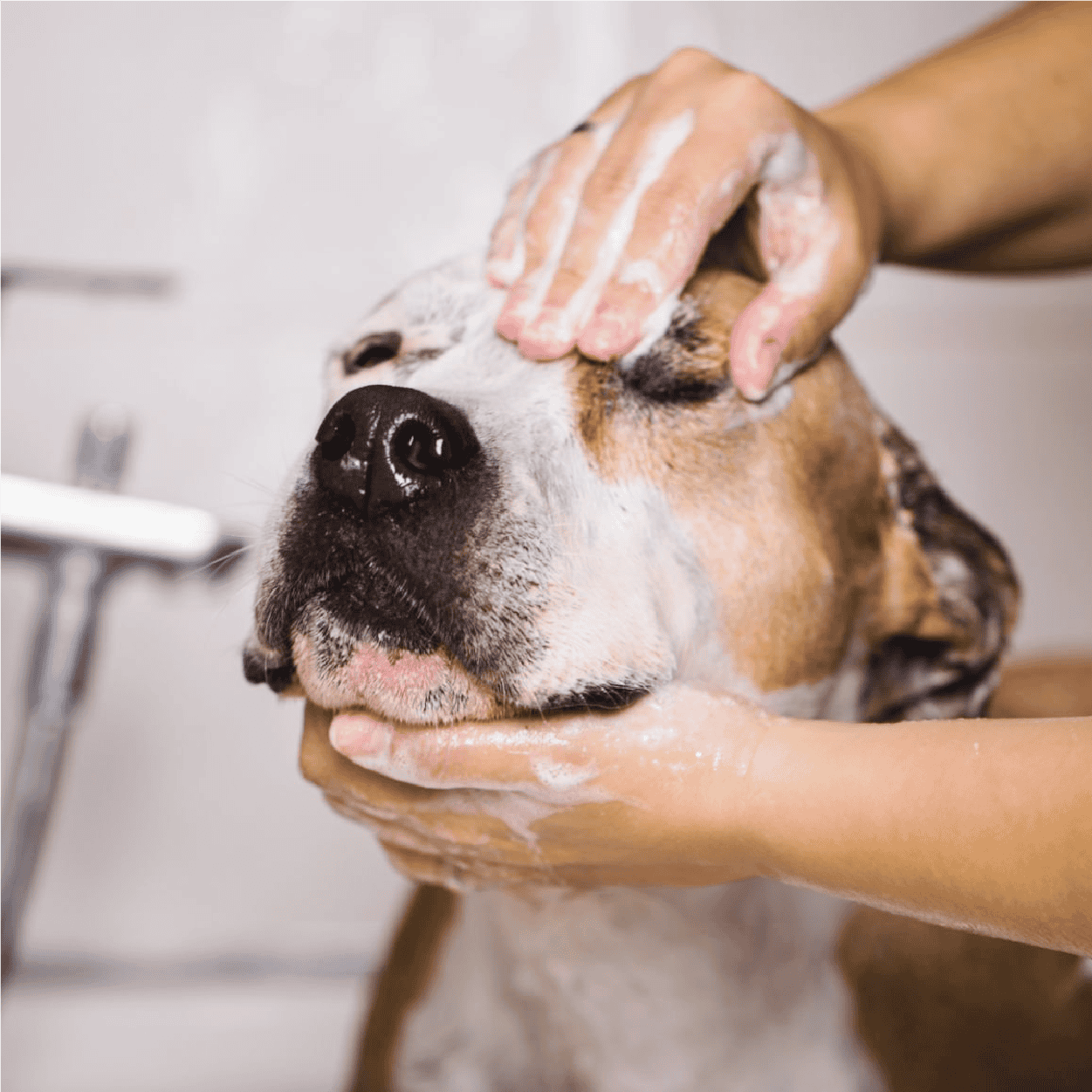 官網_WILDWASH夏日清潔_0808_04_深層潔淨泥膜