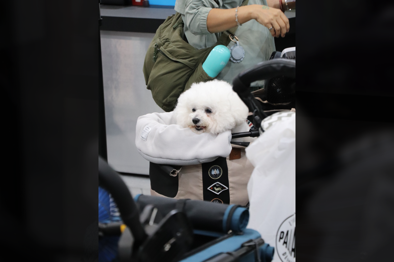 2025_Tapiei_PetsShow_6