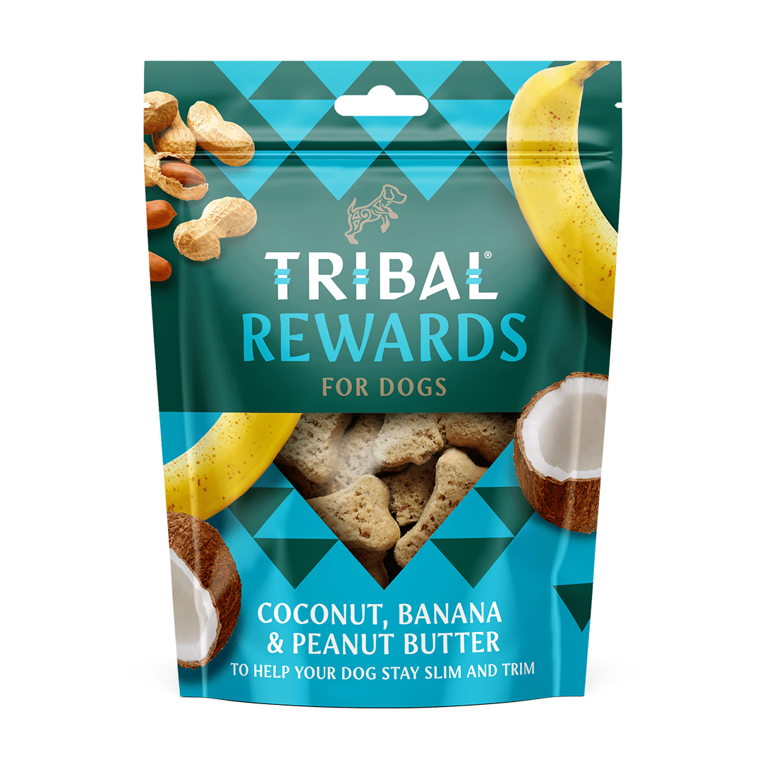 純素配方 狗狗獎勵餅乾 無麥無麩質 無人工添加