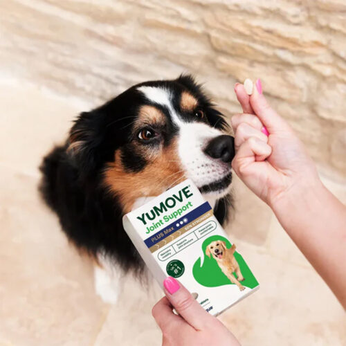 優骼服驚奇版MAX(犬)120錠