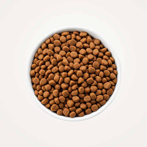 日日龍蝦貓咪乾糧(貓)1.5kg x3入 (送凍乾) 